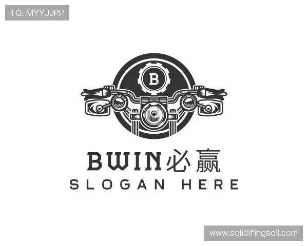 解读bwin必赢